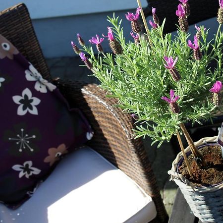 Ferienwohnung Bergluft Winterberg Ngoại thất bức ảnh